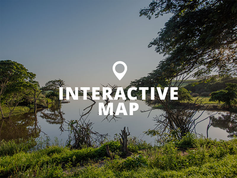 Interactive Map
